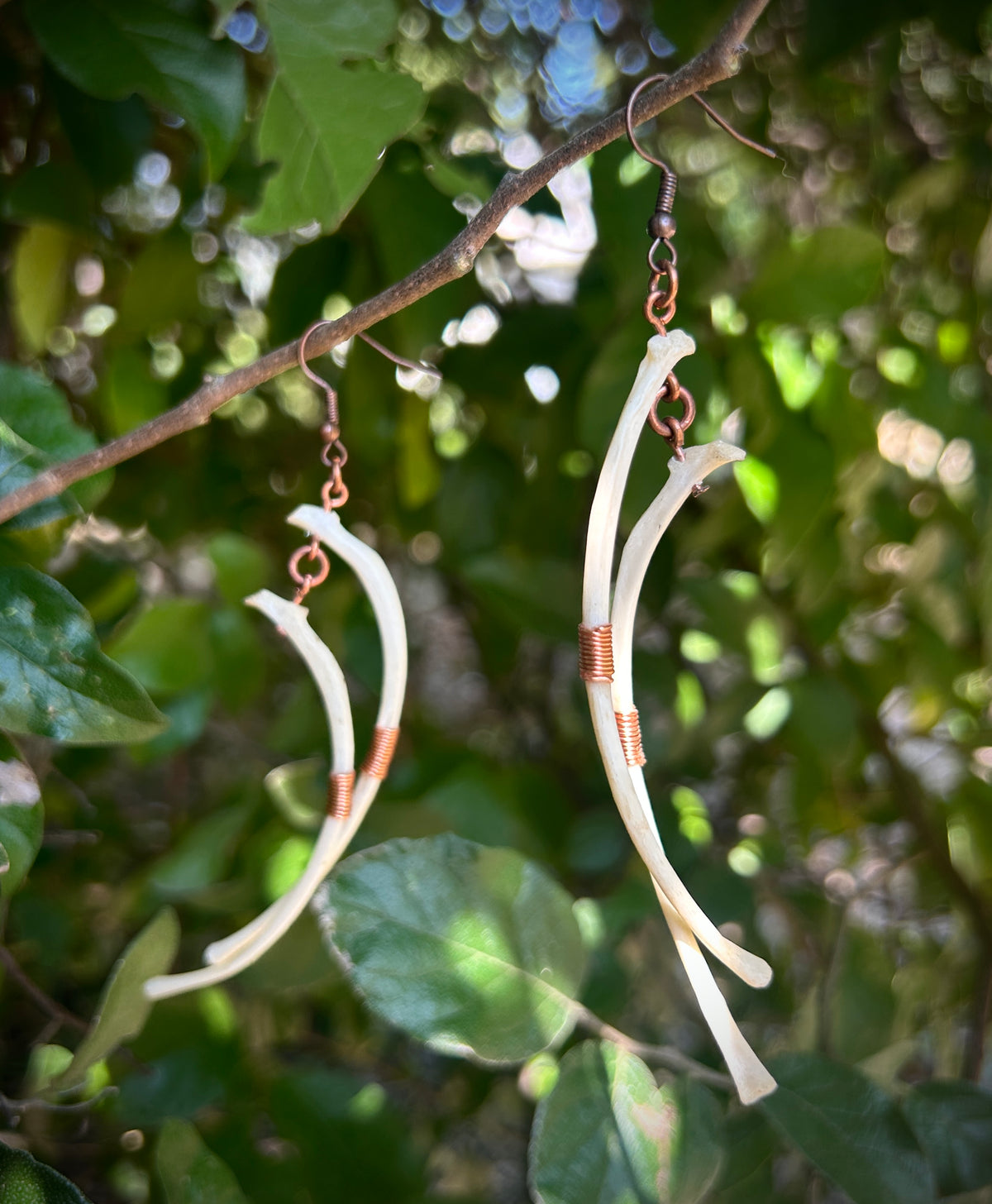 Raccoon Ribs copper wire wrapped earrings