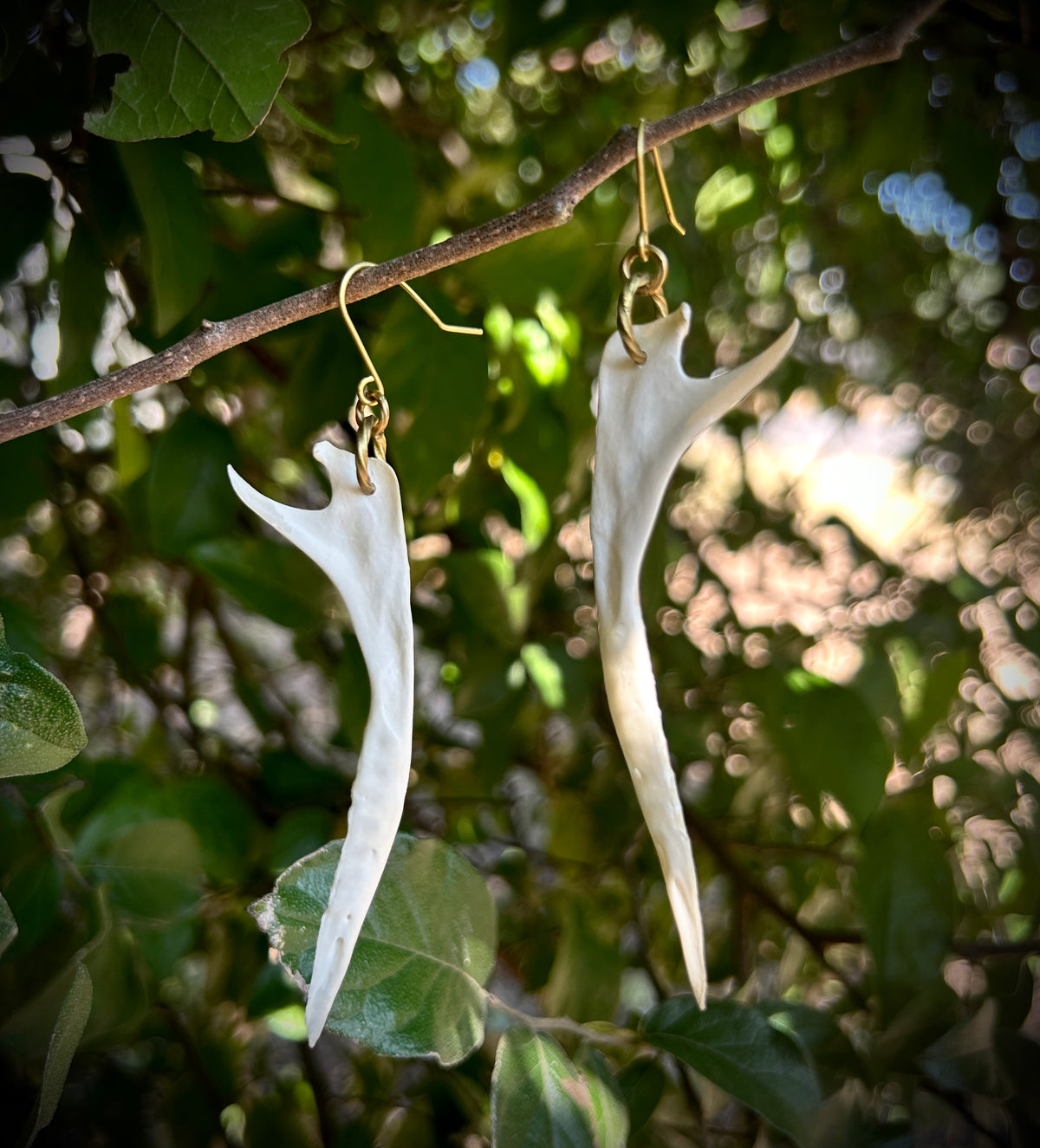 Armadillo Jawbone earrings