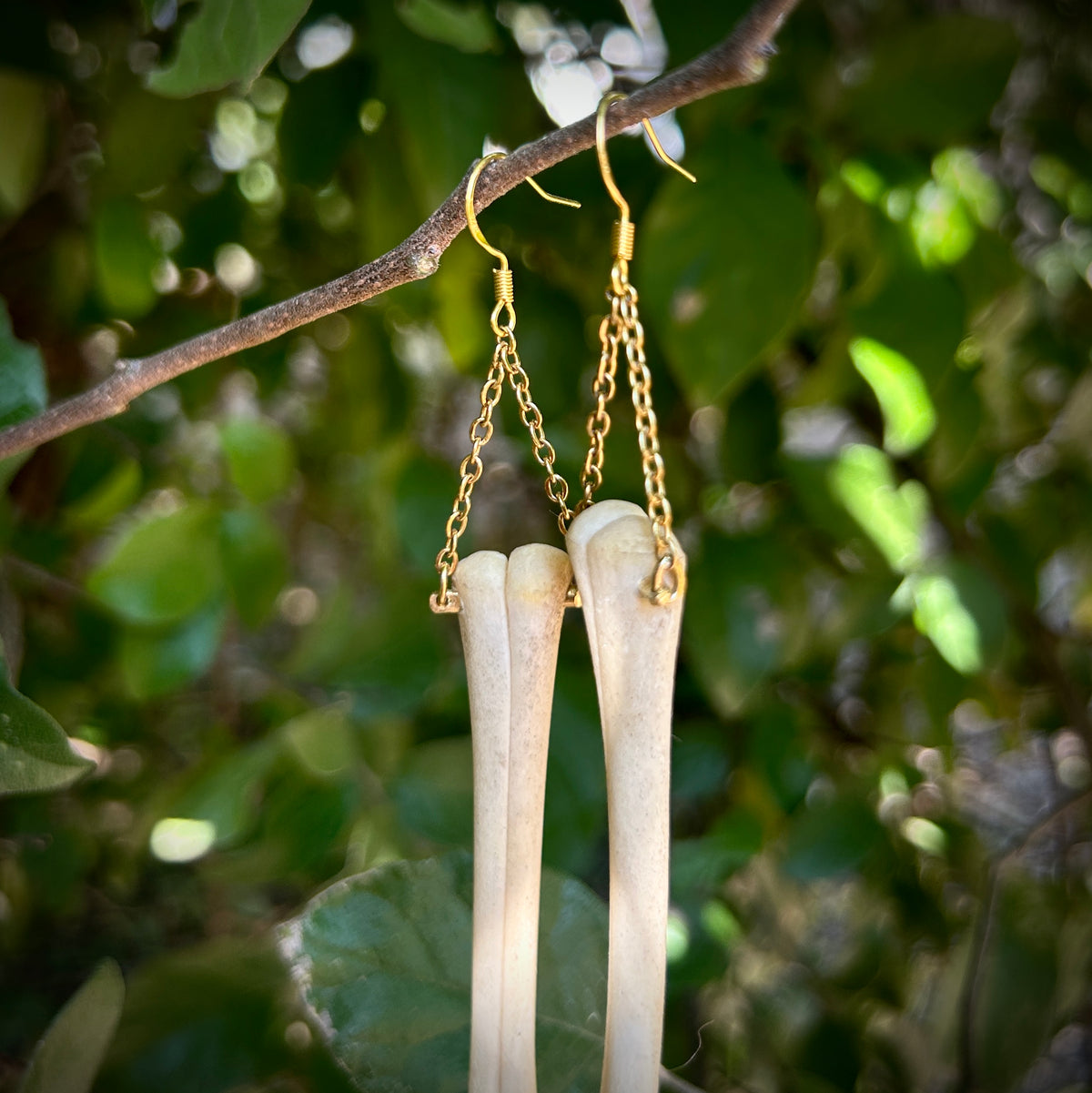 Fawn Metacarpal earrings