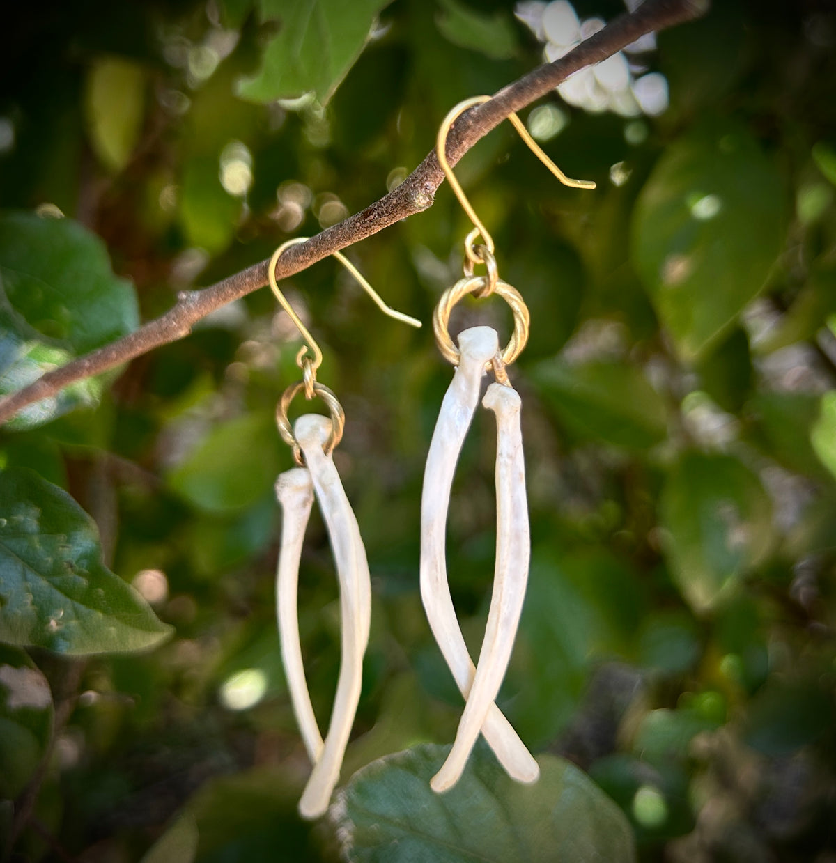 Armadillo Ribs earrings