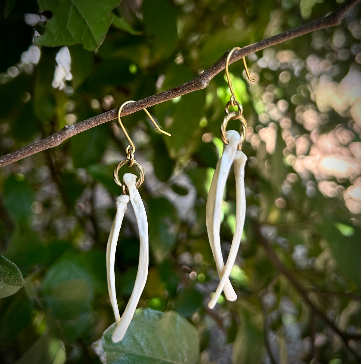 Armadillo Ribs earrings
