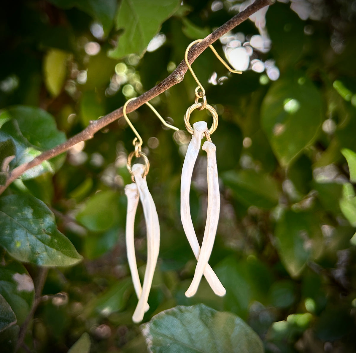 Armadillo Ribs earrings