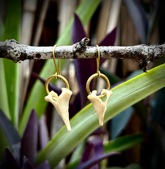 Fawn Vertebrae brass earrings
