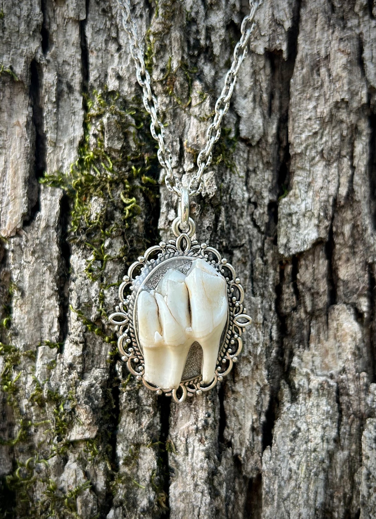 Deer Tooth Pendant